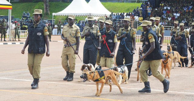 Police officers pass after a successful K9 training program course